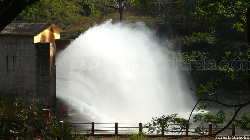 chimmini-dam-thrissur (1a)